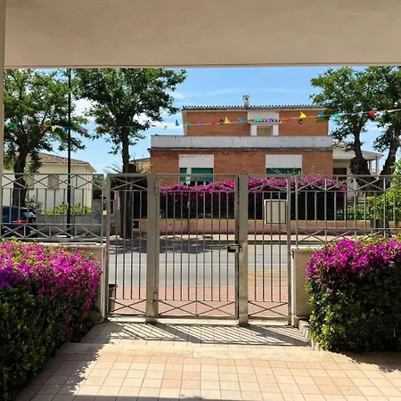 Apartment Sunflower Center Olbia